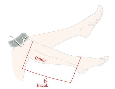 Baldır - Bacak Baldır - Bacak